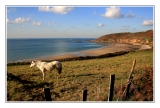 Baie d'Ecalgrain