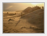 Carteret
