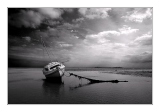 Le lien