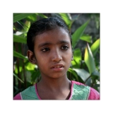 Gayatri school